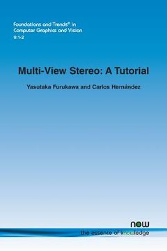 portada Multi-View Stereo: A Tutorial (in English)