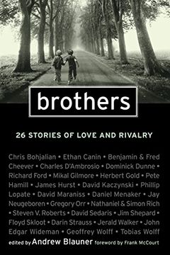 portada Brothers: 26 Stories of Love and Rivalry (en Inglés)