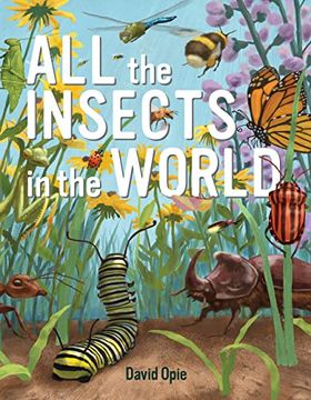 portada All the Insects in the World (en Inglés)