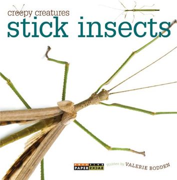 portada Stick Insects (Creepy Creatures (Creative Education))