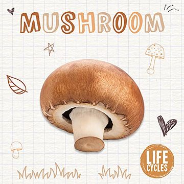 portada Mushroom