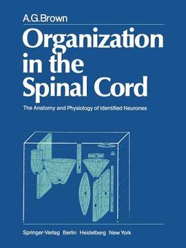 portada Organization in the Spinal Cord: The Anatomy and Physiology of Identified Neurones (en Inglés)