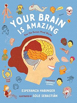 portada Your Brain is Amazing: How the Human Mind Works (en Inglés)