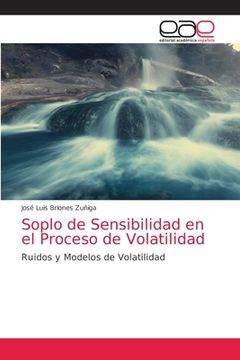 portada Soplo de Sensibilidad en el Proceso de Volatilidad: Ruidos y Modelos de Volatilidad (in Spanish)