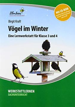 portada Vögel im Winter (Set): Grundschule, Sachunterricht, Klasse 3-4 (en Alemán)