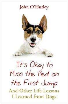 portada It's ok to Miss the bed on the First Jump: And Other Life Lessons i Learned From Dogs
