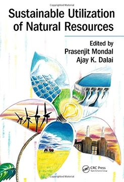 portada Sustainable Utilization of Natural Resources (en Inglés)