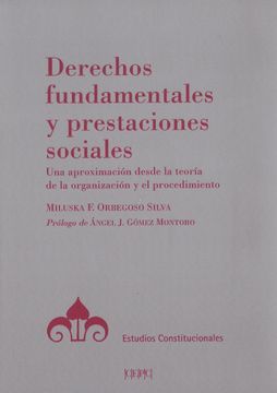 portada Derechos Fundamentales y Prestaciones Sociales (in Spanish)