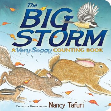 portada The Big Storm: A Very Soggy Counting Book (Classic Board Books)