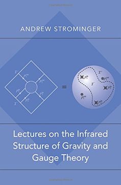 portada Lectures on the Infrared Structure of Gravity and Gauge Theory (in English)