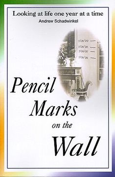 portada pencil marks on the wall: looking at life one year at a time