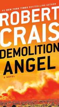 portada Demolition Angel: A Novel 