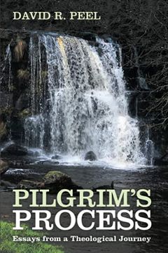 portada Pilgrim'S Process: Essays From a Theological Journey 