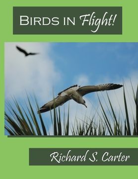 portada Birds in Flight!