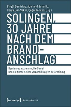 portada Solingen, 30 Jahre Nach dem Brandanschlag (en Alemán)