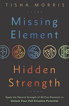 portada Missing Element, Hidden Strength: Apply the Natural Strength of all Five Elements to Unlock Your Full Creative Potential (in English)