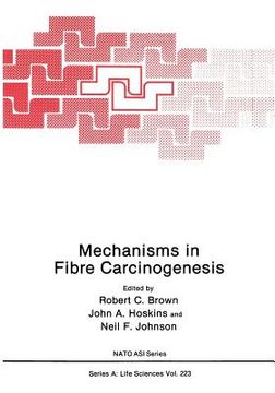 portada Mechanisms in Fibre Carcinogenesis (in English)