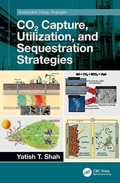 portada Co2 Capture, Utilization, and Sequestration Strategies (Sustainable Energy Strategies) (en Inglés)