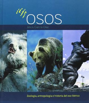 portada Osos - Zoología, Antropología E Historia Del Oso Ibérico
