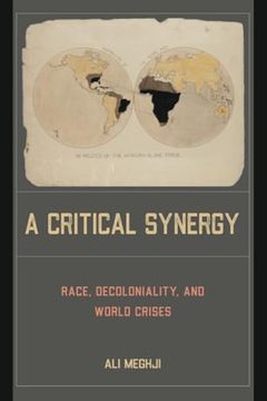 portada A Critical Synergy: Race, Decoloniality, and World Crises (in English)