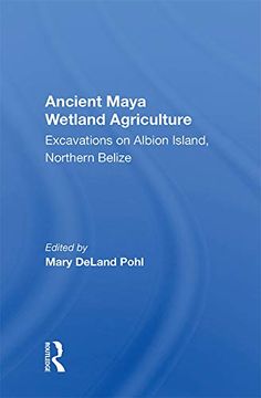 portada Ancient Maya Wetland Agriculture: Excavations on Albion Island, Northern Belize (en Inglés)