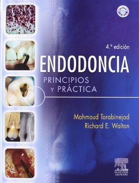 portada Endodoncia, Principios y Práctica, 4ª ed. (in Spanish)