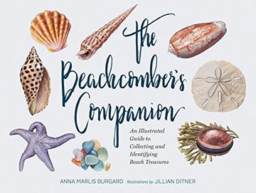 portada The Beachcomber's Companion: An Illustrated Guide to Collecting and Identifying Beach Treasures (en Inglés)