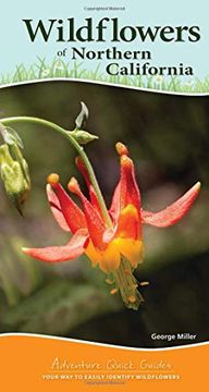 portada Wildflowers of Northern California (Adventure Quick Guides) (en Inglés)
