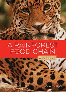 portada A Rainforest Food Chain (Odysseys in Nature)