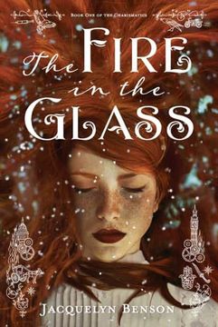 portada The Fire in the Glass (en Inglés)
