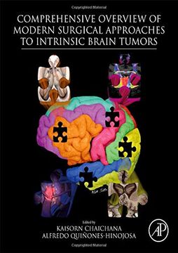 portada Comprehensive Overview of Modern Surgical Approaches to Intrinsic Brain Tumors (en Inglés)