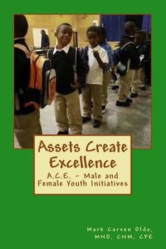 portada Assets Create Excellence: A.C.E. - Male and Female Youth Initiatives