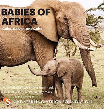 portada Babies of Africa: Cubs, Calves and Colts (en Inglés)