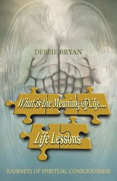 portada What is the Meaning of Life... Life Lessons (in English)