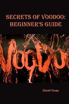 portada Voodoo. Secrets of Voodoo: Beginner's Guide