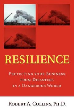 portada resilience:protecting your business from