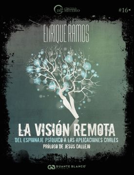 portada La Vision Remota