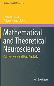 portada Mathematical and Theoretical Neuroscience: Cell, Network and Data Analysis: 24 (Springer Indam Series) (en Inglés)