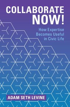 portada Collaborate Now! How Expertise Becomes Useful in Civic Life (en Inglés)