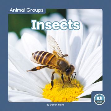 portada Insects (Animal Groups; Little Blue Readers, Level 1) (en Inglés)