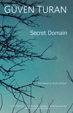 portada The Secret Domain (in English)