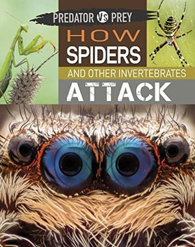 portada Predator Vs Prey: How Spiders and Other Invertebrates Attack! (in English)