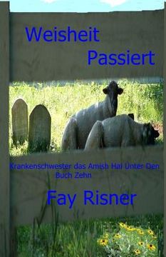 portada Weisheit Passiert: Krankenschwester Das Amish Unter Den (en Alemán)