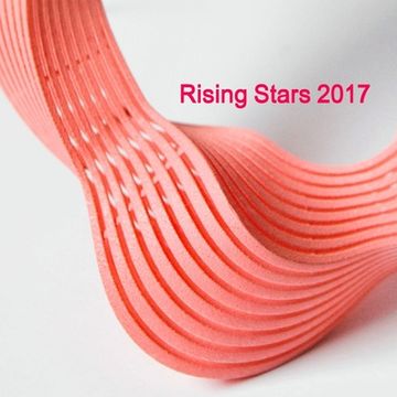 portada Rising Stars 2017 (en Inglés)
