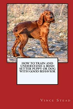 portada How to Train and Raise a Irish Setter Puppy or dog With Good Behavior (en Inglés)
