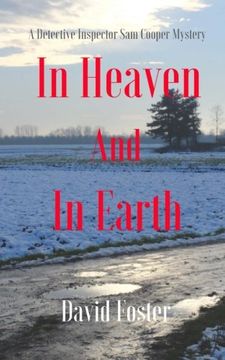 portada In Heaven and In Earth