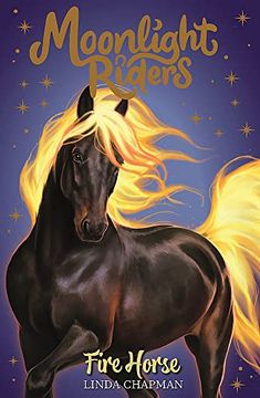 portada Fire Horse: Book 1 (Moonlight Riders) (in English)