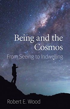 portada Being and the Cosmos: From Seeing to Indwelling 