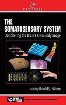 portada The Somatosensory System: Deciphering the Brain's own Body Image (Methods and new Frontiers in Neuroscience) (en Inglés)