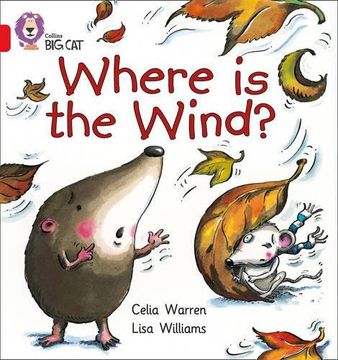 portada Where Is The Wind? - Red B / Band 2 B